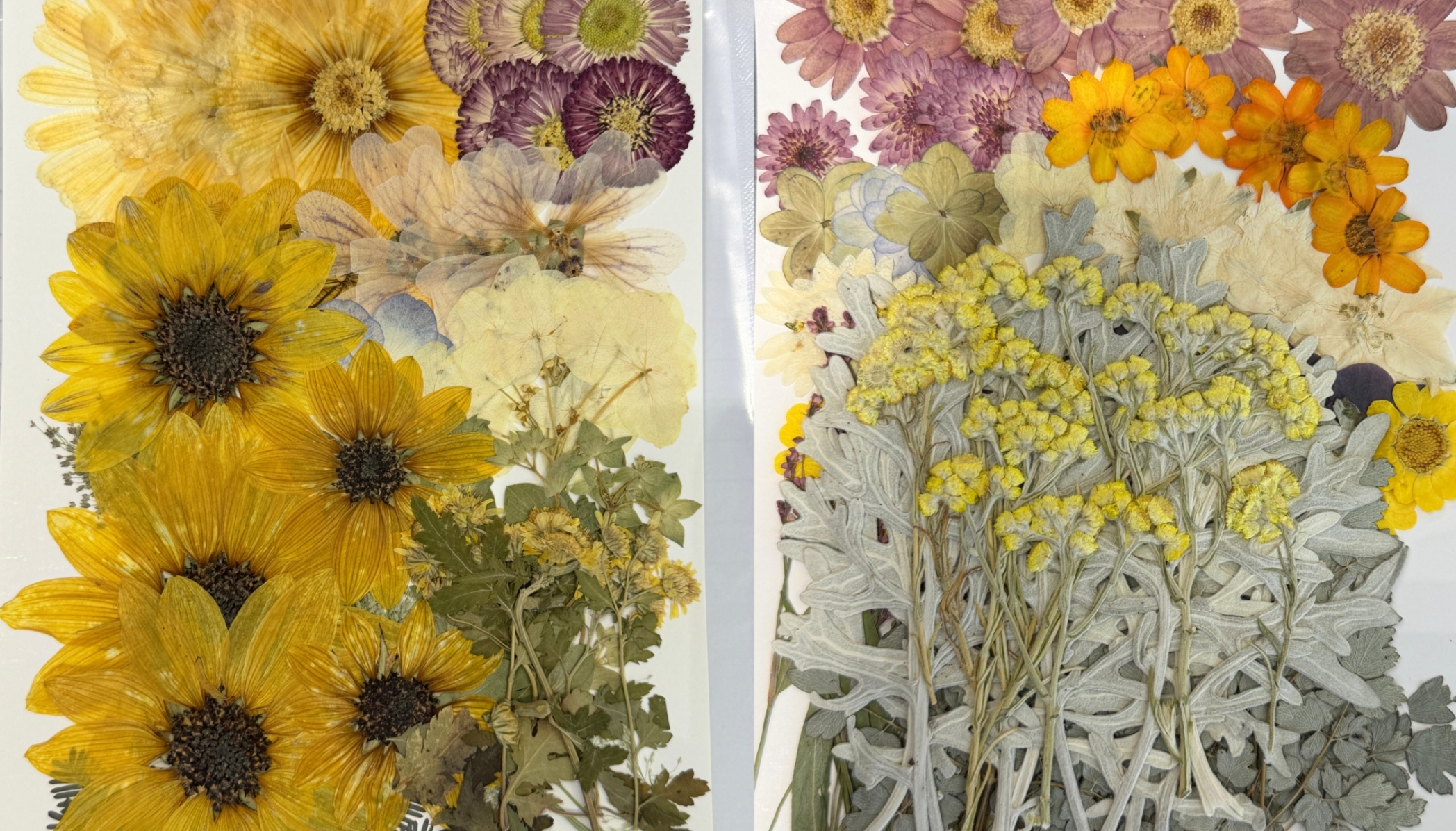 Photo_Size_Layout05_WasteB
